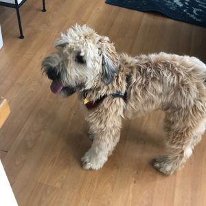 Meet your Posher, Madeleine